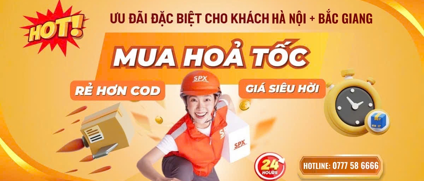 caitongvietnam.com 2