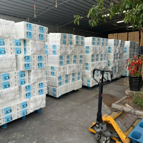 Tổng Kho Phân Phối Giấy Caitong Cao Cấp Tại Việt Nam